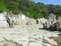 Dinosauri del Carso triestino