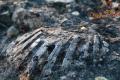 Foto di Carrozzo Adry (Nardò, LE) - Vincitore del Concorso "Scopri e fotografa il Patrimonio Geologico della Puglia" 2^ Ed.