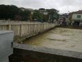 Alluvione 2014
