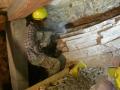 Lavori di scavo nella nuova galleria della Pesciara di Bolca (Archivio fotografico Museo Civico di Storia Naturale di Verona)
