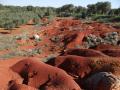 La cava di bauxite in località Li Reali (Poggiardo)