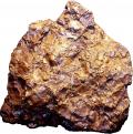 Brachiopodi, Carbonifero superiore (Pramollo)