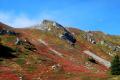 Alta valle del Sestaione in autunno
