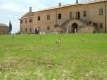 Clima e raccolto: una passeggiata per i campi marchigiani