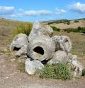 Resti di concrezionamenti batterici cresciuti attorno a fusti di palme. Miocene inferiore, Foresta Carrucana, Martis (SS)