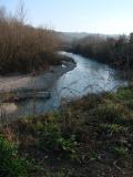 Escursione sul fiume Esino nella Riserva Regionale Ripa Bianca 