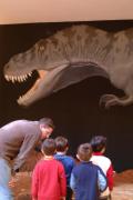 Museo dell'Ambiente