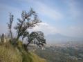 Panorama su Napoli e il Vesuvio dal belvedere dell'Eremo