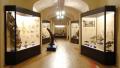 Paleontologia ed Archeologia nel Valdarno Superiore