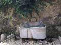 Fonte dell'Acqua Innocenziana a Trastevere