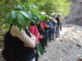 Passeggiata geologica sul bordo della megacaldera vulcanica permiana