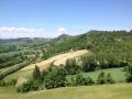 I terreni da pascolo di Michelangelo - Campi Resi.