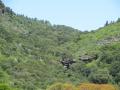 I sentieri dell'ossidiana di Conca 'e Cannas (Monte Arci)