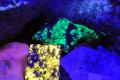 fluorescenza