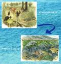 Foreste e mari tropicali 30 milioni di anni fa nell'area di Sassello-Santa Giustina