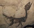 Scipionyx samniticus (reperto fossile in esposizione)