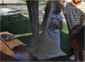 Alla scoperta dei rischi naturali  (INGV) e Mare, Chi mangia chi? (ENEA, Centro Ricerche Ambiente Marino, S. Teresa)