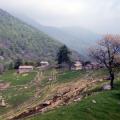 Alpe Palè