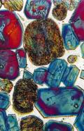 Clinker al microscopio