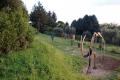 Un salto nel passato nella Foresta Fossile della Val  Cesano