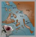 Quando gli squali mangiavano le balene…