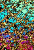 Dalle profondità dell'oceano alle profondità del cosmo - 4° happening scientifico-artistico