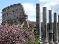 COLOSSEO