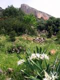 Lula e il Mont'Albo: miniere, natura e cultura