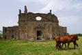 Antica Monterano - la Chiesa di San Bonaventura 