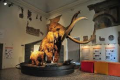 Ingresso museo di Bergamo