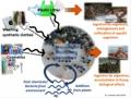 Rischio sismico e ambientale: tra conoscenza e mitigazione