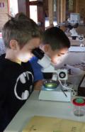 IdroGeoLab