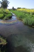 Sorgente di San Nazario, area sorgentizia dalla quale scaturiscono acque sorgive caratterizzate da temperature tra 24 e 27 °C