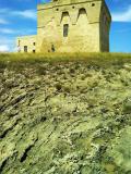 TORRE GUACETO-Area umida all’interno dell'omonima Riserva Naturale dello Stato. 