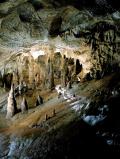 Grotte di Toirano: un salto "nel buio" durante la preistoria