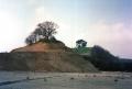 LE MERAVIGLIE FOSSILI DELLE ANTICHE GESSAIE DI SENIGALLIA: UNA MOSTRA PER RISCOPRIRE UN PREZIOSO PATRIMONIO PALEONTOLOGICO