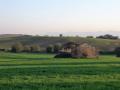 Paesaggio del Parco dell'Inviolata. Sullo sfondo il Vulcano Laziale (Foto M. Giardini)