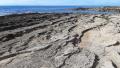 Le strutture deposizionali della spiaggia pleistocenica