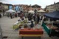  Festival dei Monti d'Oro. Storia, scienza e tradizioni tra le rocce della Val Leogra