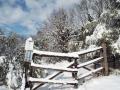 Ingresso del Bosco Nardi (Ris. Nat. Macchia di Gattaceca e Macchia del Barco) dopo la nevicata del 26/2/2018 (Foto M. Giardini)