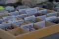 Mostra Geologica Mineralogica