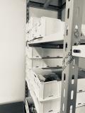 Archivio collezioni Sezione di Paleontologia