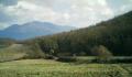 Vista panoramica sul Bosco di Grotte Cerqueta