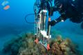 Coralligeno di Marzamemi  - Tecnologie innovative