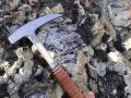 Dolomiti: un patrimonio da tutelare, una scogliera fossile da scoprire