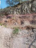 Monte Calvarina: orizzonte rubefatto sotto colata basaltica