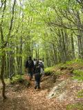 Foreste del Monte Penna