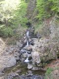 Rio Dragonale