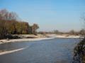 Escursione tecnica nel Fiume Esino: Riserva Ripa Bianca di Jesi