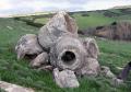 Carrucana (Martis), concrezioni stromatolitiche cresciute attorno a fusti di palme. Miocene inferiore.